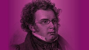 Kritika a 2023. január 28-i Schubert-napról