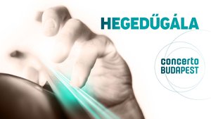 Hegedűgála - BARTÓK / BRAHMS / CSAJKOVSZKIJ / MENDELSSOHN // Pocitari / Kelemen / Abouzahra / Baráti / Keller