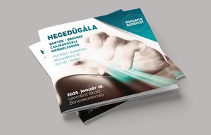 Hegedűgála - BARTÓK / BRAHMS / CSAJKOVSZKIJ / MENDELSSOHN // Pocitari / Kelemen / Abouzahra / Baráti / Keller - 2025. január 18. Zeneakadémia
